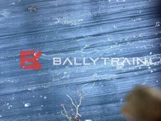 2020-tbr-1005-b-45918589