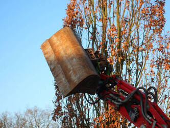 2021-yanmar-vio23-6-1431125-45931246