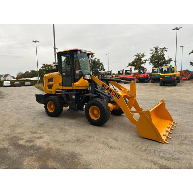 2025 Blanche TW36-45931996