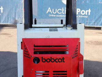bobcat-343-1431649-45968506