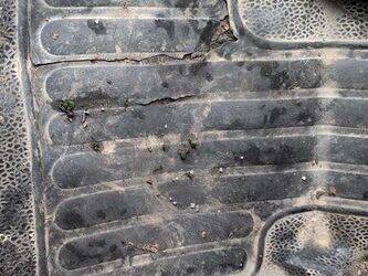 2010-renault-kangoo-1432177-46005006