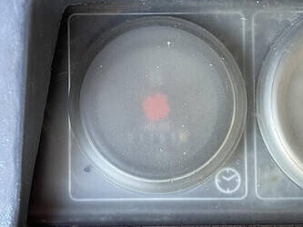 2012-atlas-copco-xas-87-kd-950281-46017392