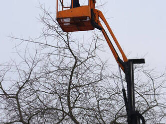 2014-atn-piaf-880r-1432686-46019124