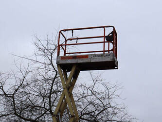 2008-jlg-1930-es-1432691-46019326