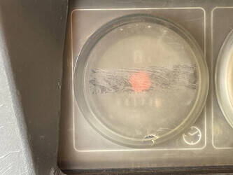 2013-atlas-copco-xas-37-kd-46024823