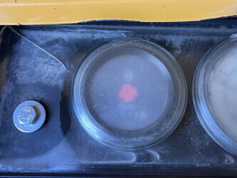 2010-atlas-copco-xas-97-dd-1397155-46025946