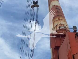 2011-jehi-mus900-46034717