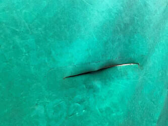 1991-anssems-others-46043825