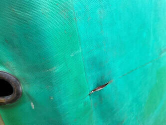 1991-anssems-others-46043826