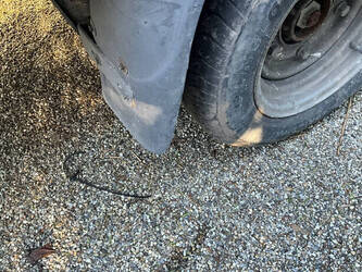 2018-ifor-williams-others-46044040