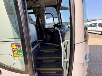 2015-man-lions-regio-1432882-46064794