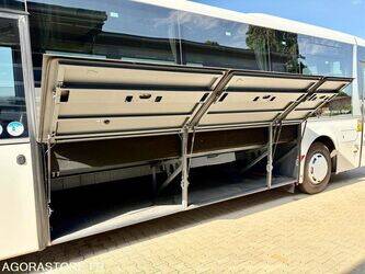 2015-man-lions-regio-1432882-46064796