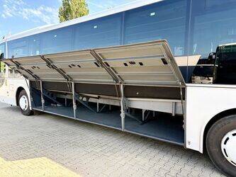 2015-man-lions-regio-1432882-46064798