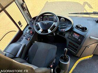 2015-man-lions-regio-1432882-46064799