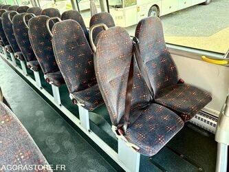 2015-man-lions-regio-1432882-46064802