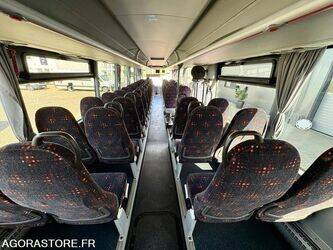 2015-man-lions-regio-1432882-46064805