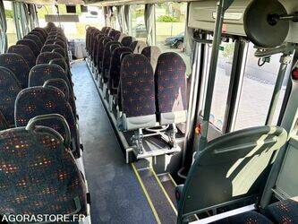 2015-man-lions-regio-1432882-46064806