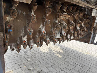 2017-wirtgen-w-250i-46067665