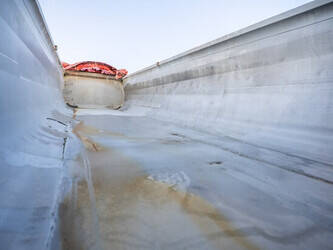 2007-stas-s339cx-1433735-46069333