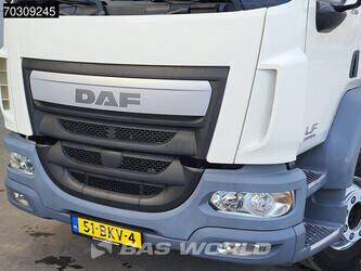2017-daf-lf230-1412829-46069685