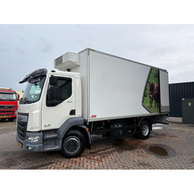 2015 DAF LF220FA-46095316