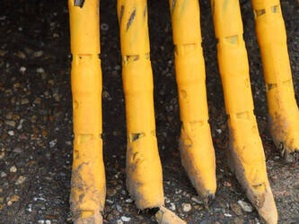 2016-conver-c4-1434644-46132628