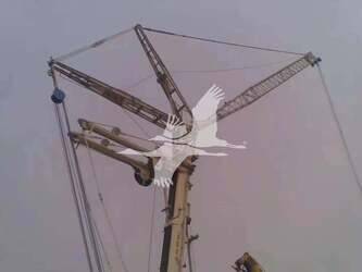 2009-demag-ac-350-1-46141930