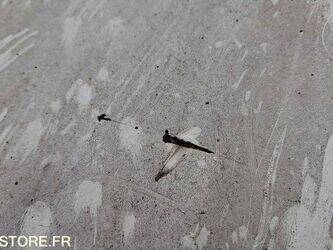 2008-renault-master-1434787-46147370