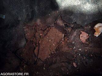 2015-renault-kangoo-1434805-46147613