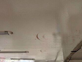 2014-renault-master-1434818-46147846