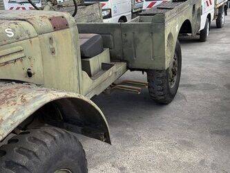 dodge-divers-46148661