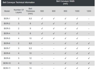 2026-boratas-bor-series-stationary-belt-conveyors-46149550