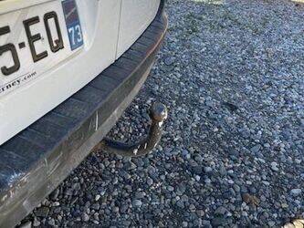 2009-renault-kangoo-1435548-46187073