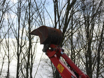 2019-neuson-803-1436048-46210756