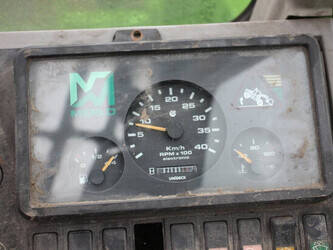 2006-merlo-p38-14-1436079-46211732