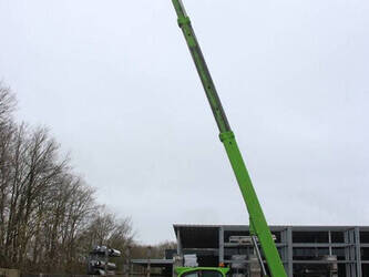 2006-merlo-p38-14-1436079-46211738