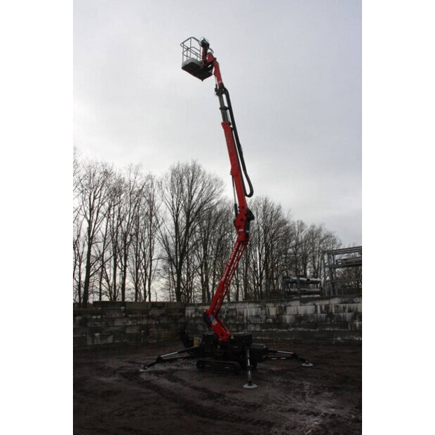 2014 BASKET spider 18.90 Pro-46211882