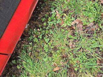 2014-renault-master-rt-1436525-46243537