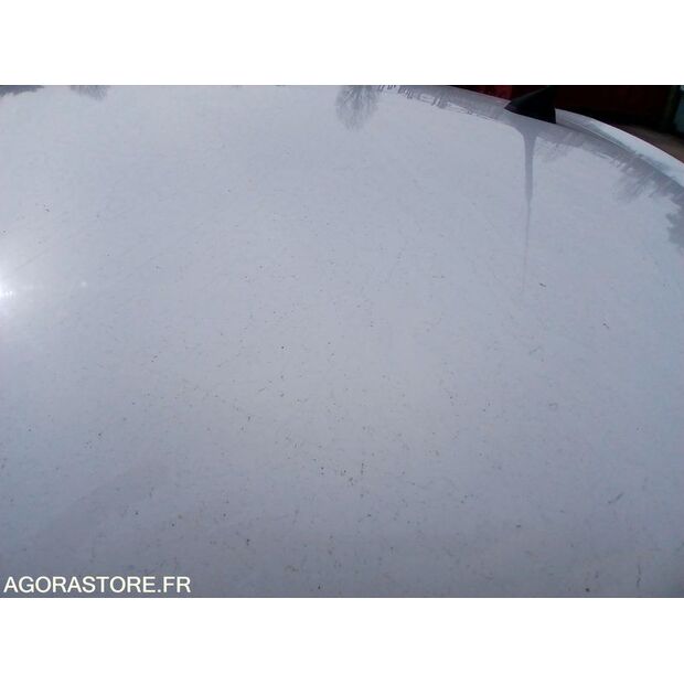 2010 Renault Clio-46244842