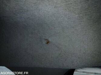 2010-renault-clio-1436262-46244856