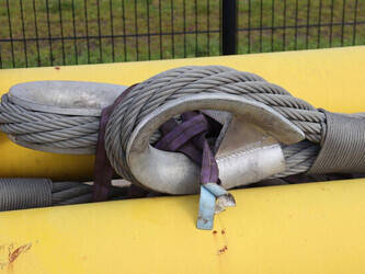 2019-doll-others-46266639