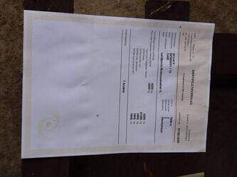 2004-case-ih-jx1100u-maxxima-46266719