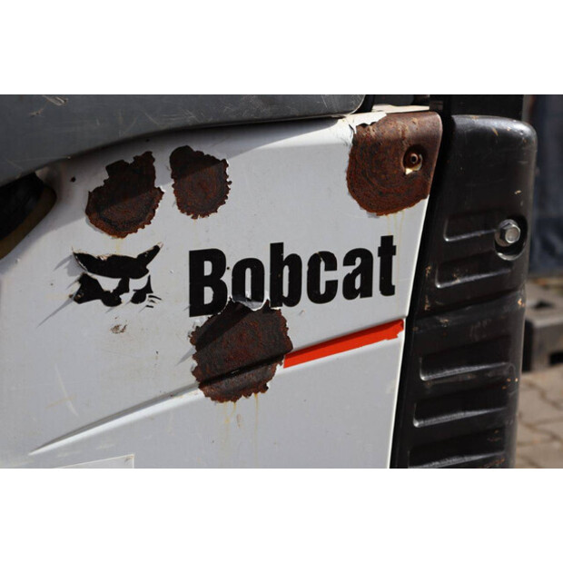 2016 بوبكات E10-46266916