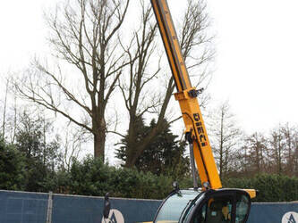 2019-dieci-dedalus-30-7-46267394