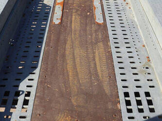 2020-brian-james-t-02-t-46270888