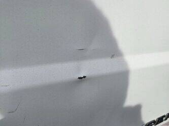 2011-citroen-jumper-1437174-46286653