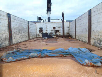 2010-scania-p360-1437437-46294385