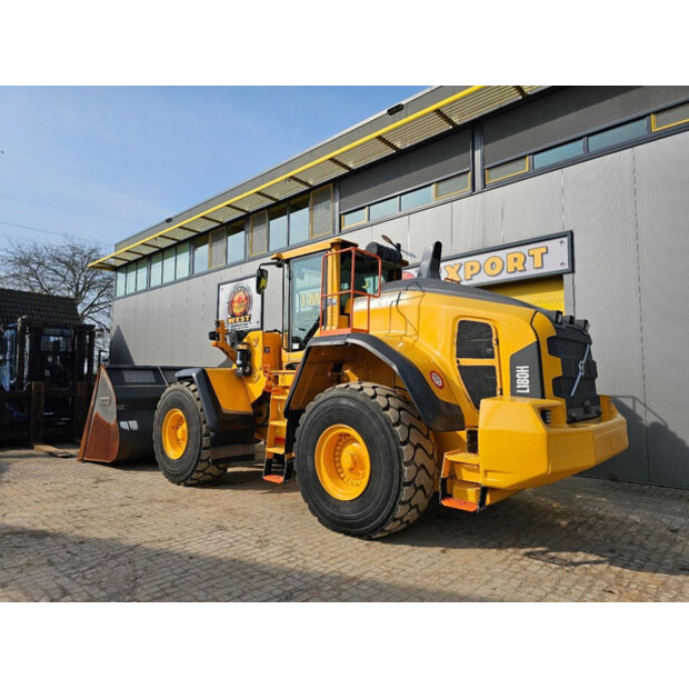 2020 فولفو L180H-46315113