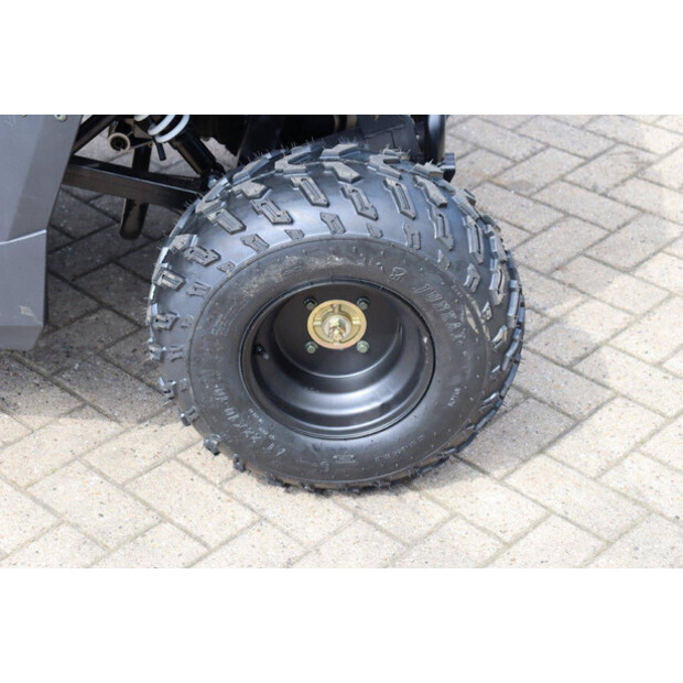 2025 Wextrem UTV-ATV 200PRO-46320979