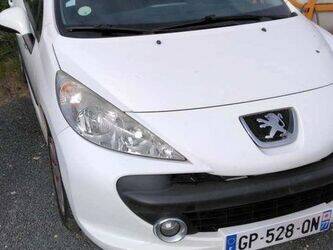 2007-peugeot-207-1438068-46336578